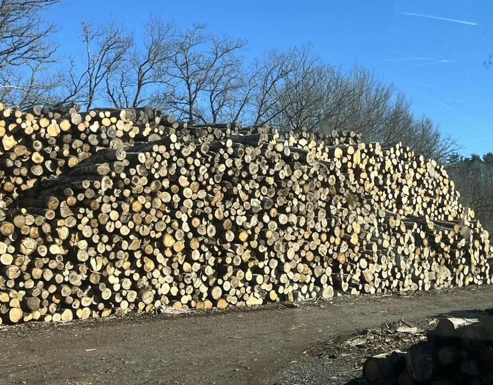 Tas de bûches empilées