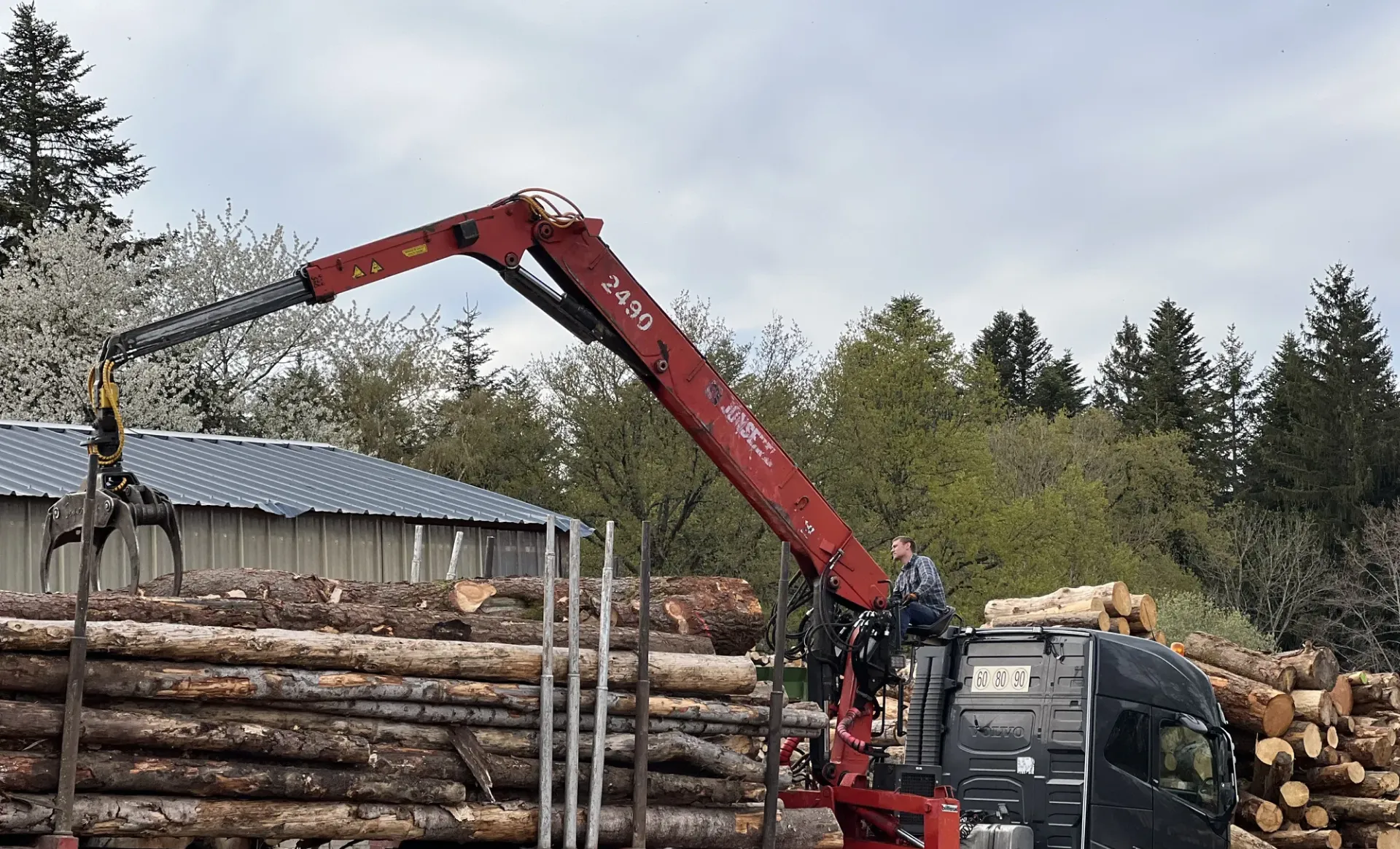 Grue chargeant des troncs