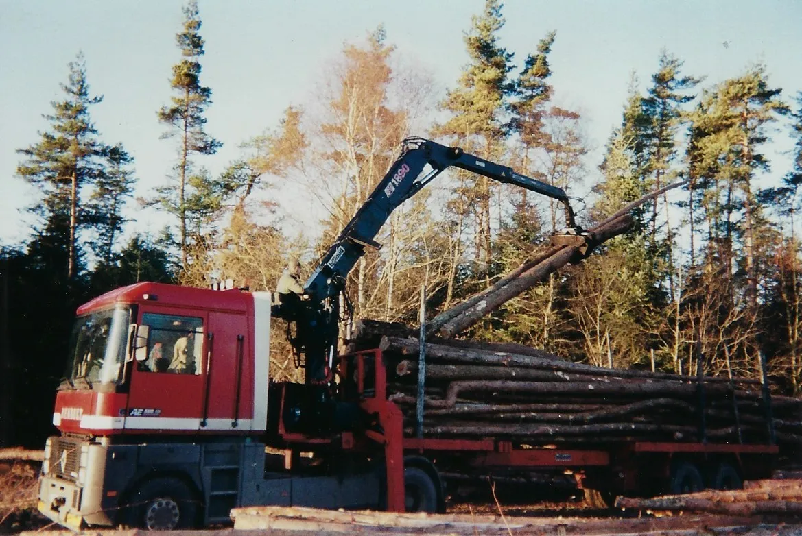 Grue forestière chargeant des troncs